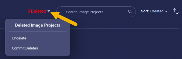 Delete Image Projects